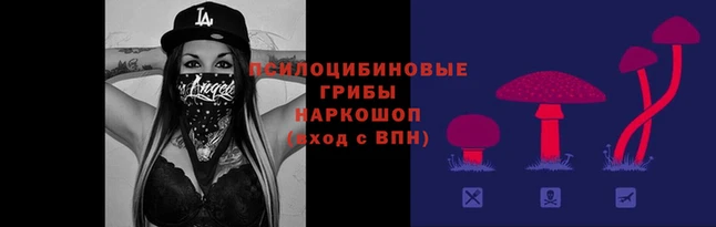 экстази Беломорск