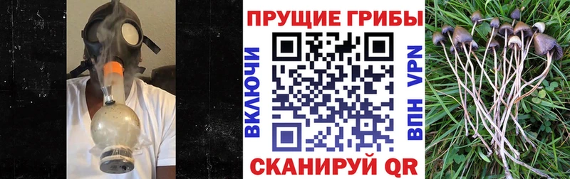 Галлюциногенные грибы Magic Shrooms  Купить  Олёкминск 